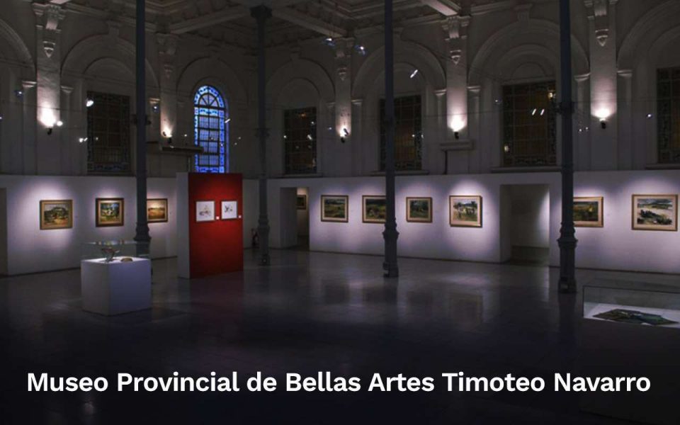 Museo Provincial de Bellas Artes Timoteo Navarro